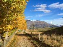 De Sleep van de Queenstowncyclus in Autumn Arrowtown royalty-vrije stock foto's De Sleep van de Queenstowncyclus in Autumn Arrowtown royalty-vrije stock foto's