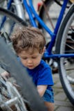 De spelen van de peuterjongen enthousiast met grote fietsen op een parkeren van de stadsfiets stock afbeelding De spelen van de peuterjongen enthousiast met grote fietsen op een parkeren van de stadsfiets stock afbeelding