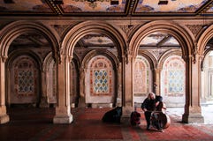 De spelencello van de straatmusicus in Bethesda Terrace, Central Park, N royalty-vrije stock afbeeldingen De spelencello van de straatmusicus in Bethesda Terrace, Central Park, N royalty-vrije stock afbeeldingen
