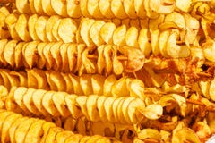 De spiraalvormige aardappels braadden, op houten stokken, spiraal Verkopend voedsel bij de markt Ongezond gebraden voedsel Straat royalty-vrije stock foto's De spiraalvormige aardappels braadden, op houten stokken, spiraal Verkopend voedsel bij de markt Ongezond gebraden voedsel Straat royalty-vrije stock foto's