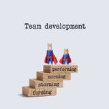 De stadia van de teamontwikkeling Het beeld van het groepswerkconcept met superherokarakters bovenop de houten trap woorden stock afbeelding De stadia van de teamontwikkeling Het beeld van het groepswerkconcept met superherokarakters bovenop de houten trap woorden stock afbeelding