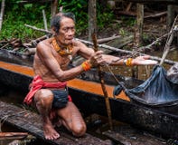 De stam van mensenmentawai in de wildernis die installaties verzamelen stock fotografie De stam van mensenmentawai in de wildernis die installaties verzamelen stock fotografie