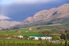 De Stellenbosch-wijn landt gebied dichtbij Cape Town. royalty-vrije stock afbeeldingen De Stellenbosch-wijn landt gebied dichtbij Cape Town. royalty-vrije stock afbeeldingen