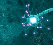 De synaps is een structuur die een neuron of zenuwcel toelaat om een elektro of chemisch signaal tot een ander neuron of tot over royalty-vrije illustratie De synaps is een structuur die een neuron of zenuwcel toelaat om een elektro of chemisch signaal tot een ander neuron of tot over royalty-vrije illustratie