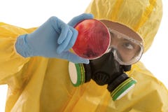 De technicus die van het onderzoeklaboratorium petrischaaldoos bekijken royalty-vrije stock foto De technicus die van het onderzoeklaboratorium petrischaaldoos bekijken royalty-vrije stock foto