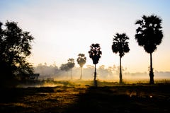 De tijden van de zonsopgangochtend van het platteland van Thailand stock foto's De tijden van de zonsopgangochtend van het platteland van Thailand stock foto's