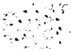 De tinta preta chapinhar, textura do respingo da aquarela no sumário branco ilustração royalty free De tinta preta chapinhar, textura do respingo da aquarela no sumário branco ilustração royalty free