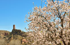 de toren van een oud geruïneerd kasteel in een klein dorp riep Villel in Teruel/Spanje in een zonnige duidelijke dag met de menin royalty-vrije stock afbeelding de toren van een oud geruïneerd kasteel in een klein dorp riep Villel in Teruel/Spanje in een zonnige duidelijke dag met de menin royalty-vrije stock afbeelding