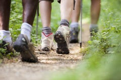 De trekking van mensen in houten en het lopen in rij stock afbeeldingen De trekking van mensen in houten en het lopen in rij stock afbeeldingen