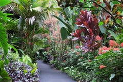 De Tropische Botanische Tuin van Hawaï royalty-vrije stock afbeeldingen De Tropische Botanische Tuin van Hawaï royalty-vrije stock afbeeldingen