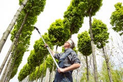 De tuinman behandelt de jonge bomen stock foto De tuinman behandelt de jonge bomen stock foto