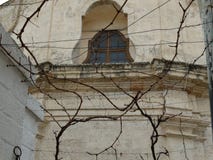 De typische bouw in Puglia, Zuidelijk die Italië, door de bomen wordt gezien royalty-vrije stock foto De typische bouw in Puglia, Zuidelijk die Italië, door de bomen wordt gezien royalty-vrije stock foto