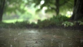 De uitstekende dichte regelmatige bevredigende langzame die motie van stortbuiregen wordt geschoten laat vallen omhoog het vallen stock videobeelden De uitstekende dichte regelmatige bevredigende langzame die motie van stortbuiregen wordt geschoten laat vallen omhoog het vallen stock videobeelden