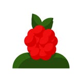 De vector van het bessenpictogram op witte achtergrond, Bessenteken, kleurrijke symbolen wordt geïsoleerd dat stock illustratie De vector van het bessenpictogram op witte achtergrond, Bessenteken, kleurrijke symbolen wordt geïsoleerd dat stock illustratie