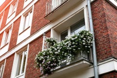 De Vensters van de oude stad zijn verfraaid met bloemen royalty-vrije stock afbeeldingen De Vensters van de oude stad zijn verfraaid met bloemen royalty-vrije stock afbeeldingen