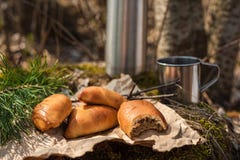 De verse eigengemaakte cakes van het vleespasteitje in het bos royalty-vrije stock afbeelding De verse eigengemaakte cakes van het vleespasteitje in het bos royalty-vrije stock afbeelding