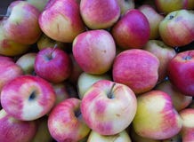 De verse organische rode appelen in een grote houten doos, sluiten omhoog, achtergrond stock fotografie De verse organische rode appelen in een grote houten doos, sluiten omhoog, achtergrond stock fotografie