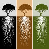 De verticale Reeks van de Banner van de Wortel van de Boom royalty-vrije illustratie De verticale Reeks van de Banner van de Wortel van de Boom royalty-vrije illustratie