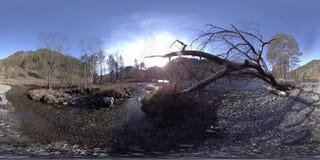 360 de virtuele werkelijkheid van VR van wilde bergen, pijnboombos en rivierstromen Nationale park, weide en zonstralen stock videobeelden 360 de virtuele werkelijkheid van VR van wilde bergen, pijnboombos en rivierstromen Nationale park, weide en zonstralen stock videobeelden
