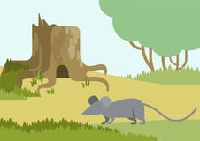 De vlakke vogels van de wilde dierenhuisdieren van het ontwerpbeeldverhaal vector Stock Fotografie De vlakke vogels van de wilde dierenhuisdieren van het ontwerpbeeldverhaal vector Stock Fotografie