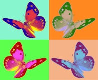 De vlinder van pop-artcolias royalty-vrije stock fotografie De vlinder van pop-artcolias royalty-vrije stock fotografie