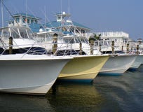 De Vloot van Sportfishing stock foto De Vloot van Sportfishing stock foto