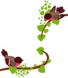 De vogels van Robin op de lentetakken van boom Stock Afbeelding De vogels van Robin op de lentetakken van boom Stock Afbeelding