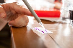 De voorbereiding van de steekproef voor de elektroforese van DNA stock fotografie De voorbereiding van de steekproef voor de elektroforese van DNA stock fotografie