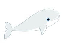 De walvis vectorillustratie van de babybeloega vector illustratie De walvis vectorillustratie van de babybeloega vector illustratie