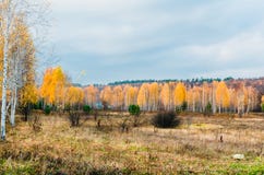 De weiden van het alluviale gebied van bos-steppestreek royalty-vrije stock afbeeldingen De weiden van het alluviale gebied van bos-steppestreek royalty-vrije stock afbeeldingen