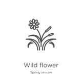 de wilde vector van het bloempictogram van lentetijdinzameling De dunne van het het overzichtspictogram van de lijn wilde bloem v vector illustratie de wilde vector van het bloempictogram van lentetijdinzameling De dunne van het het overzichtspictogram van de lijn wilde bloem v vector illustratie