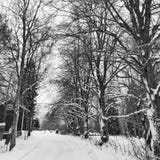 De winterweg aan huis stock foto De winterweg aan huis stock foto