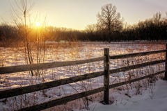 De winterzonsopgang stock afbeelding De winterzonsopgang stock afbeelding
