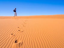 De Woestijn van Namib stock afbeeldingen De Woestijn van Namib stock afbeeldingen