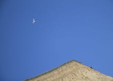De zeemeeuw die in de blauwe zonnige hemel over de de grondbreuk van de zandklei vliegen Minimalism en vrijheidssimbol royalty-vrije stock afbeelding De zeemeeuw die in de blauwe zonnige hemel over de de grondbreuk van de zandklei vliegen Minimalism en vrijheidssimbol royalty-vrije stock afbeelding