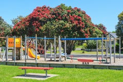 De zomer in Bowentown, Nieuw Zeeland Pohutukawaboom en de speelplaats van Kinderen stock afbeeldingen De zomer in Bowentown, Nieuw Zeeland Pohutukawaboom en de speelplaats van Kinderen stock afbeeldingen