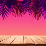 De zomer en aardproductvertoning met houten lijstteller op palmblad op trillende kleurenachtergrond stock foto De zomer en aardproductvertoning met houten lijstteller op palmblad op trillende kleurenachtergrond stock foto