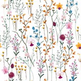De zomervector veel soort wilde bloemen naadloze mooi op wh vector illustratie De zomervector veel soort wilde bloemen naadloze mooi op wh vector illustratie