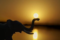 De zon en de olifant tijdens zonsondergang royalty-vrije stock afbeeldingen De zon en de olifant tijdens zonsondergang royalty-vrije stock afbeeldingen