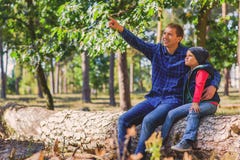 De zoon van het ouderonderwijs in bos stock fotografie De zoon van het ouderonderwijs in bos stock fotografie