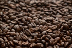 De zuivere Arabica textuur van koffiebonen royalty-vrije stock foto's De zuivere Arabica textuur van koffiebonen royalty-vrije stock foto's