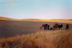 Dead Frontier Homestead stock photography Dead Frontier Homestead stock photography