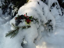 Decoración agradable de la Navidad en árbol de pino nevado imágenes de archivo libres de regalías Decoración agradable de la Navidad en árbol de pino nevado imágenes de archivo libres de regalías