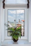 Decoración interior de la cortina en sala de estar Travesaño de la ventana con la maceta, vista de la ciudad imagenes de archivo Decoración interior de la cortina en sala de estar Travesaño de la ventana con la maceta, vista de la ciudad imagenes de archivo