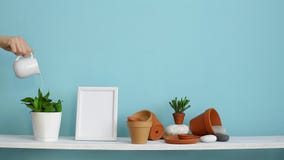 Decoración moderna del sitio con la maqueta del marco Estante blanco contra la pared en colores pastel de la turquesa con cerám Decoración moderna del sitio con la maqueta del marco Estante blanco contra la pared en colores pastel de la turquesa con cerám