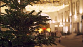 Decorated Christmas tree on city street