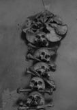 Decoration from human bones and skulls Stock Photography Decoration from human bones and skulls Stock Photography