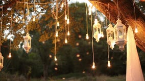 Decorative antique edison style filament light bulbs hanging in the woods, glass lantern, lamp decoration garden at stock video Decorative antique edison style filament light bulbs hanging in the woods, glass lantern, lamp decoration garden at stock video