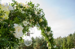 Decorative outdoor string lights hanging on tree in the garden. Light bulb decor in outdoor party.