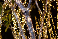 Decorative outdoor string lights hanging on tree in the garden at night time festivals season